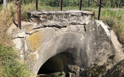 Unterhaltsarbeiten an Brücken und Flurwegen